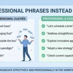 professional way to say bs